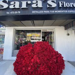 Floreria Sara`s