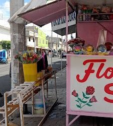 Floreria SarÓn