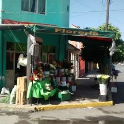 Floreria Saucito
