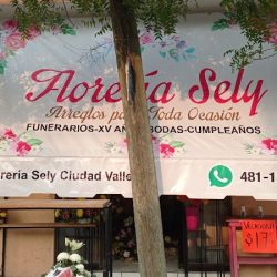 Florería Sely Ciudad Valles