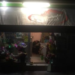Florería Sentimiento Floral