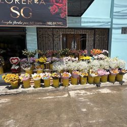 Floreria Sg