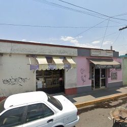 Floreria Shalom Y Sonia