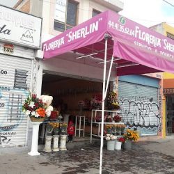 Florería Sherlyn En San Luis Potosí