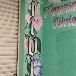 Florería Silvia