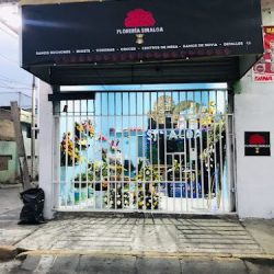 Floreria Sinaloa