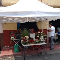 Florería Sixto
