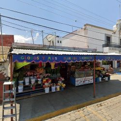 Floreria Socorrito