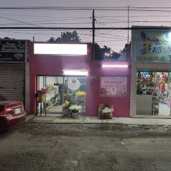 Florería Socorrito