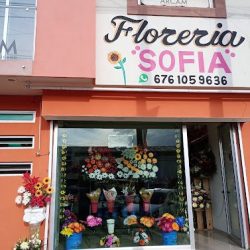 Florería Sofía