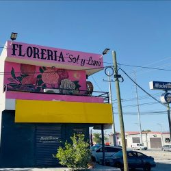 Floreria Sol Y Luna