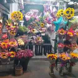 Floreria Soledad