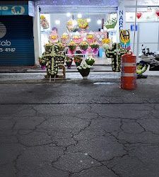 Florería Soledad
