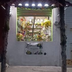 Florería Solfyam
