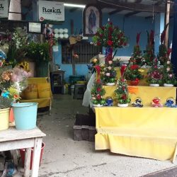 Florería Sonora