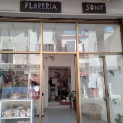 Floreria Sony