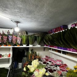 Floreria Sori's