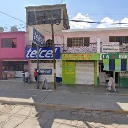 Floreria Spayder