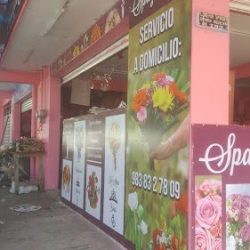 Florería Spayder Lo Mejor
