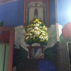 Floreria Sr. Del.perdon