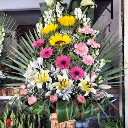 Floreria Sr. Del Perdon