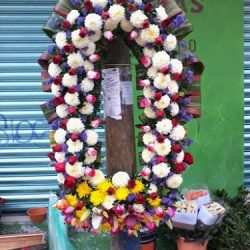 Floreria, Sra. Francisca