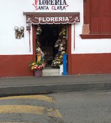 Florería Sta Clara Del Cobre