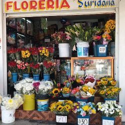Florería Suridana