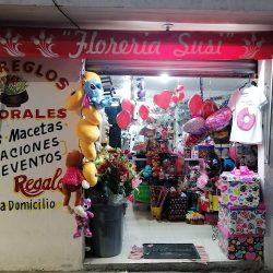 Floreria" Susi"