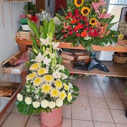 Florería Susyflor Estipac