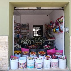 Floreria Tadeo 24 Hrs