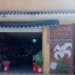 Florería Tania