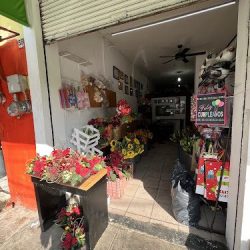 Florería Tapalpa Flor- Floreria En Guadalajara Jalisco