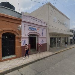Florería Teca