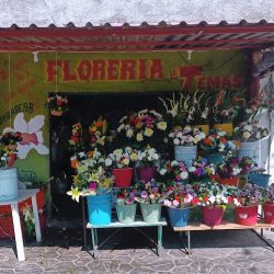 Florería Temas