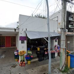 Floreria Temix