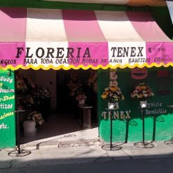Floreria Tenex