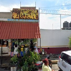 Florería Teo