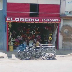 Floreria Tepalcapa