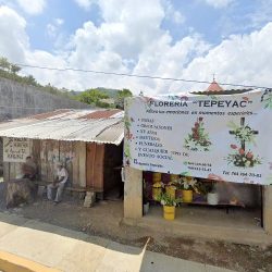 Florería "tepeyac"
