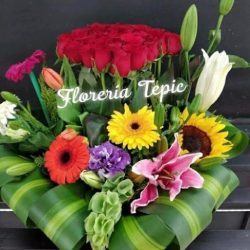 Florería Tepic