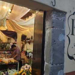 Floreria Tepotzotlán Adrye