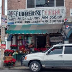 Floreria Tere