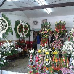 Florería Tere