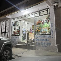Floreria Teresita