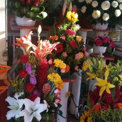 Florería Teresita