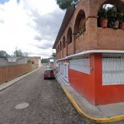 Florería The Bubble