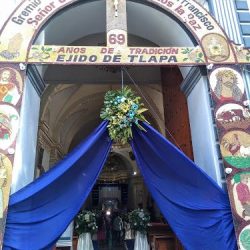 Floreria Tia Cata