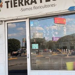 Floreria Tierra Flora