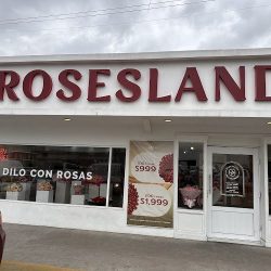 Florería Tijuana | Rosesland